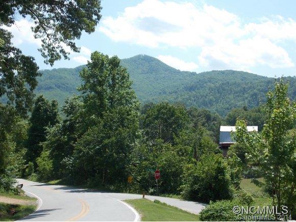 266 Wiggins Road Candler, NC 28715 - Photo 19 of 20 Gallery Image 19