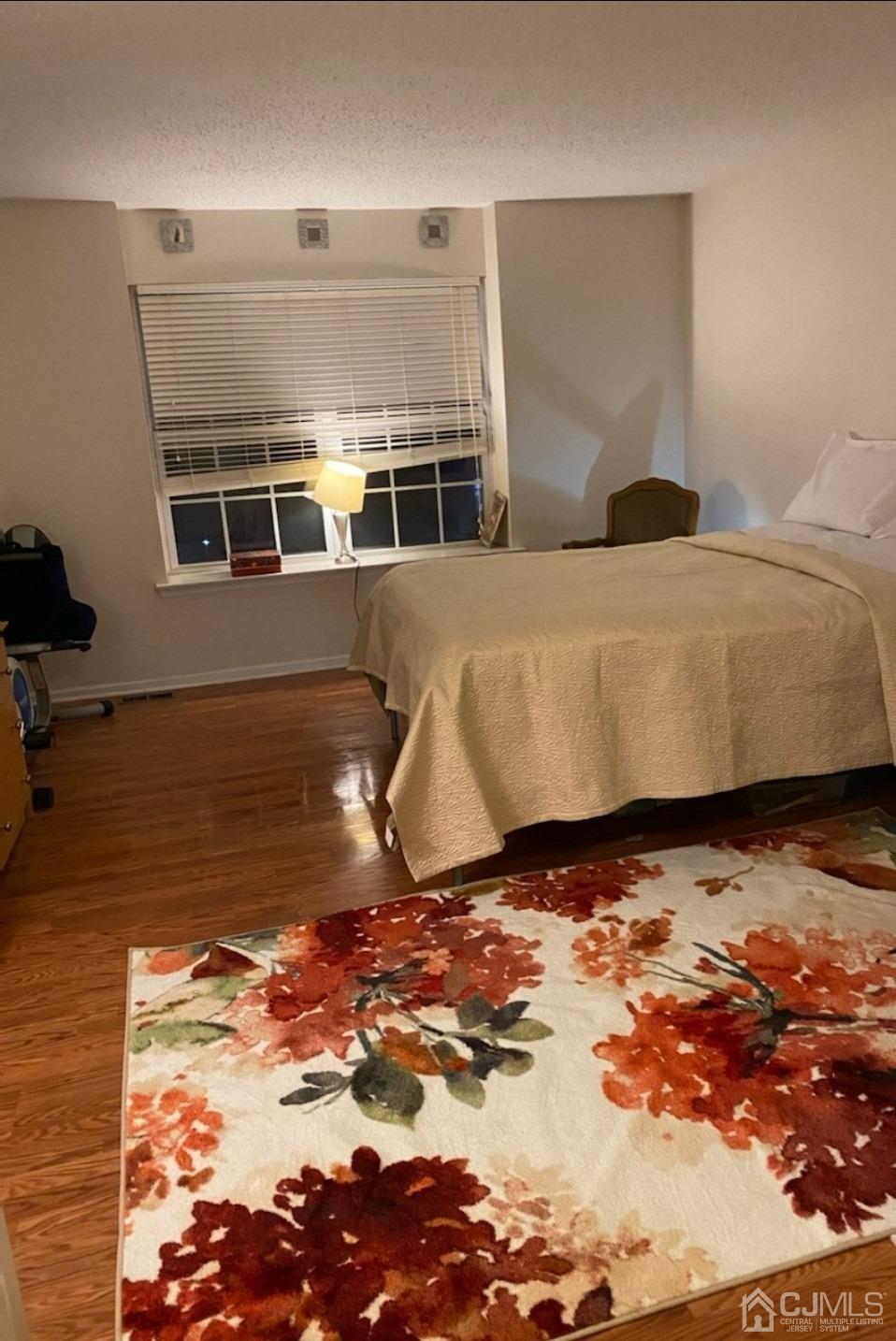112 Prestwick Way Edison, NJ 08820 - Photo 23 of 24 a living room with a rug