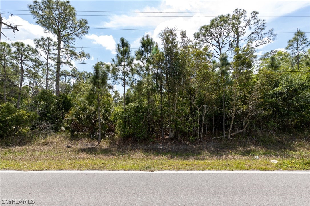 41811 Little Farm Road Punta Gorda, FL 33982 - Photo 6 of 12 Gallery Image 6