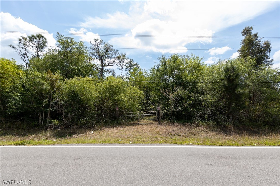 41811 Little Farm Road Punta Gorda, FL 33982 - Photo 7 of 12 Gallery Image 7