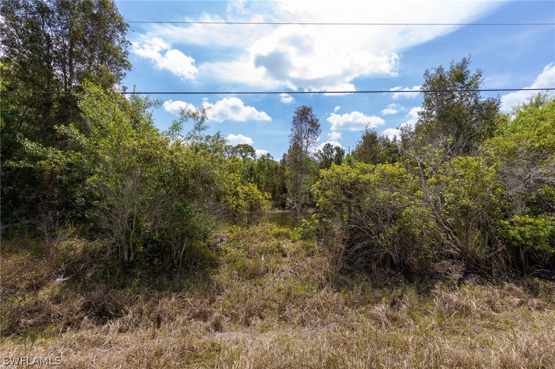 41811 Little Farm Road Punta Gorda, FL 33982 - Photo 9 of 12 Gallery Image 9