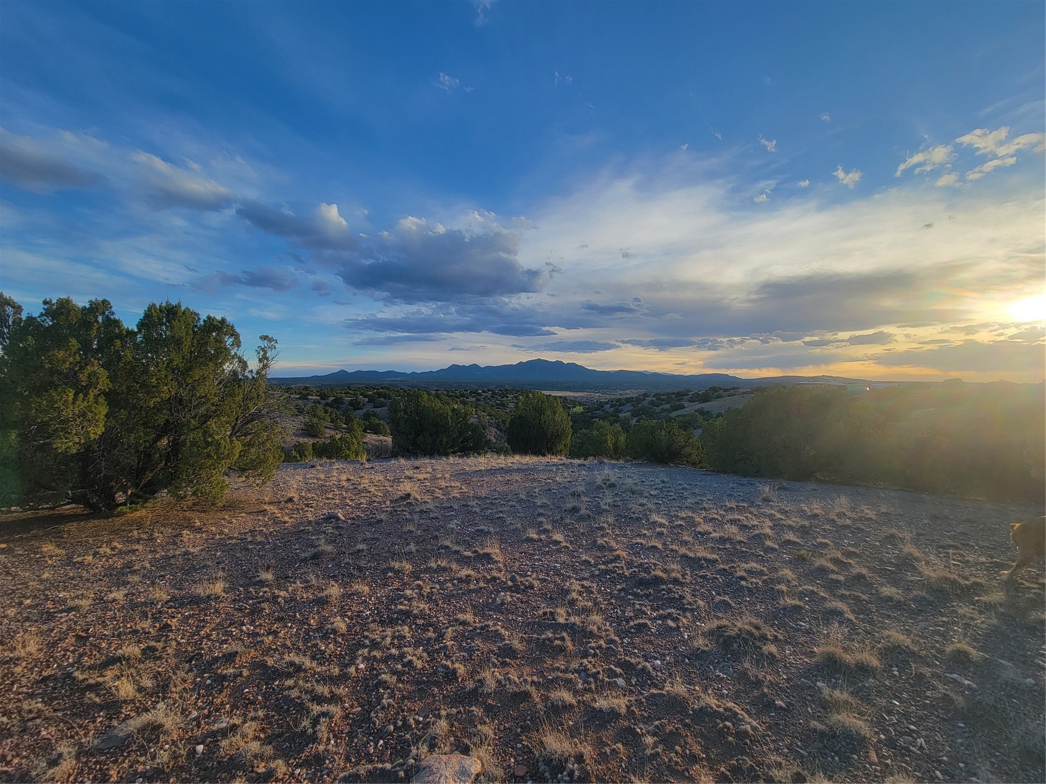 218 Horny Toad Road Cerrillos, NM 87010 - Photo 1 of 16