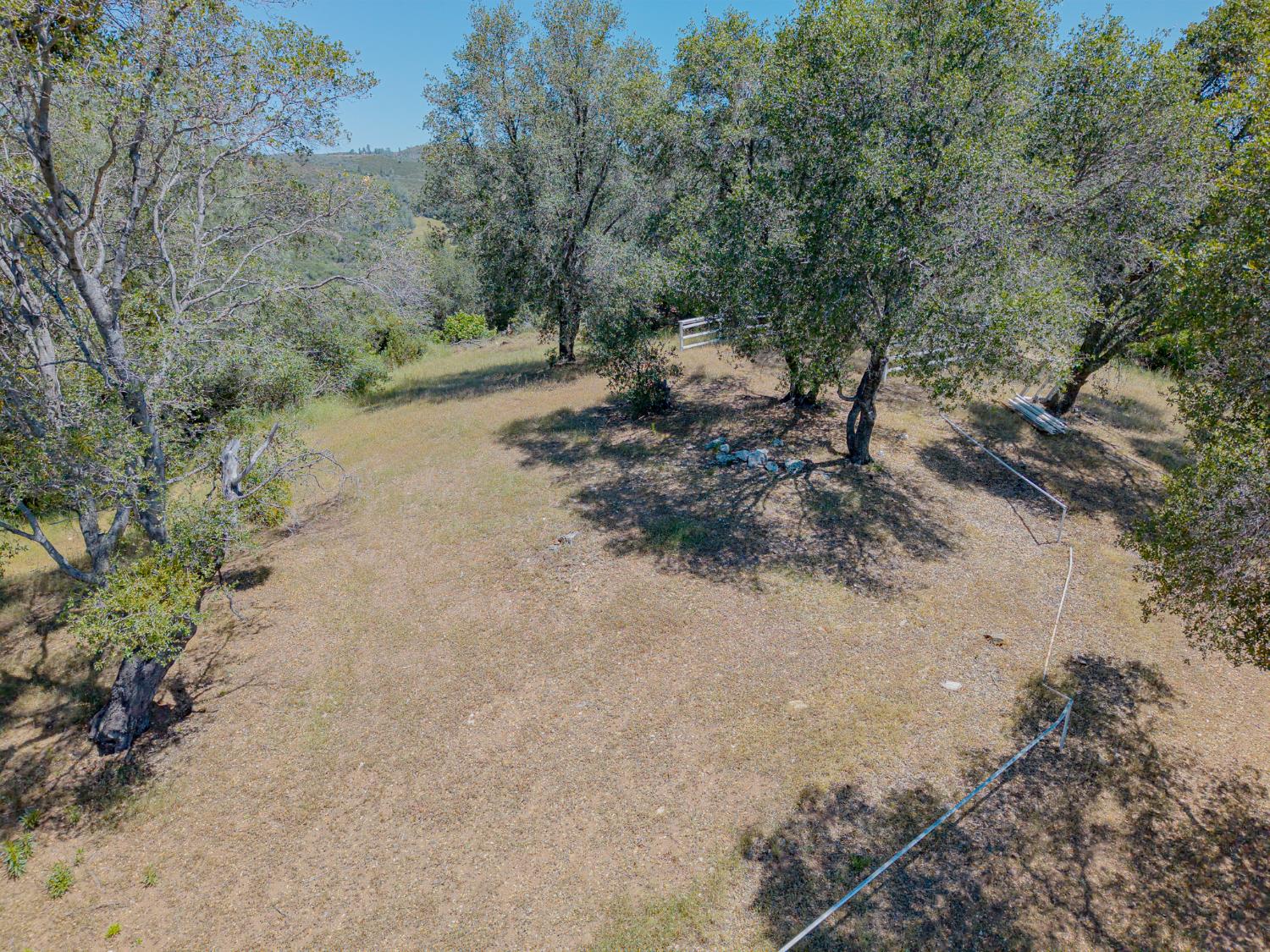 5912 Old Gulch Road San Andreas, CA 95249 - Photo 57 of 71 a view of a dry yard with trees