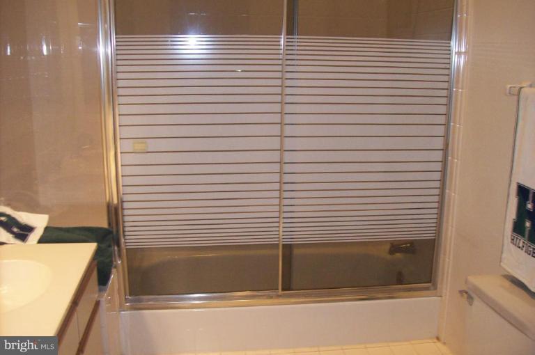 13708 Modrad Way, Unit 7 Silver Spring, MD 20904 - Photo 8 of 9 Master Bath