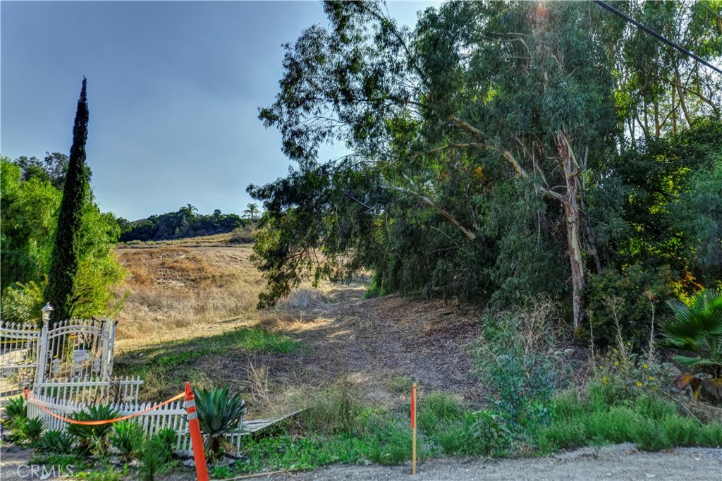 0 Weirick Road Corona, CA 92883 - Photo 2 of 18 a view of a yard with plants and large trees