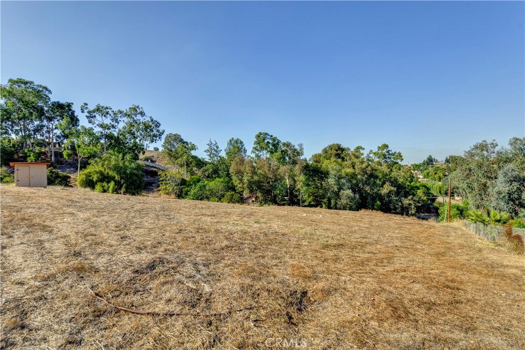 0 Weirick Road Corona, CA 92883 - Photo 5 of 18 a view of a field with plants and trees