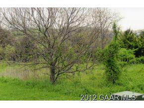 Tbd Fort River Road Verona, VA 24482 - Photo 3 of 14 a view of yard with green space