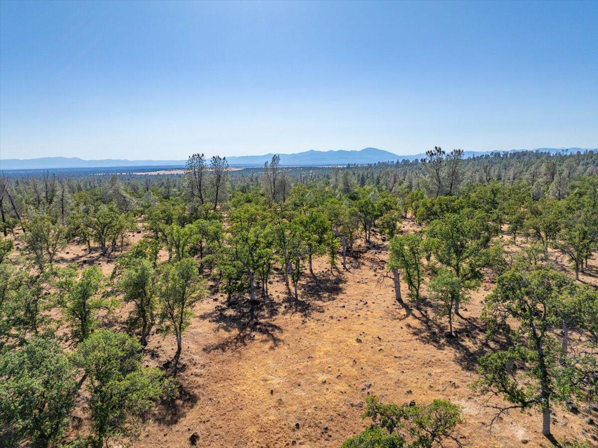 0 Dersch Road Anderson, CA 96007 - Photo 11 of 14 89-25150 Dersch Rd - E-57