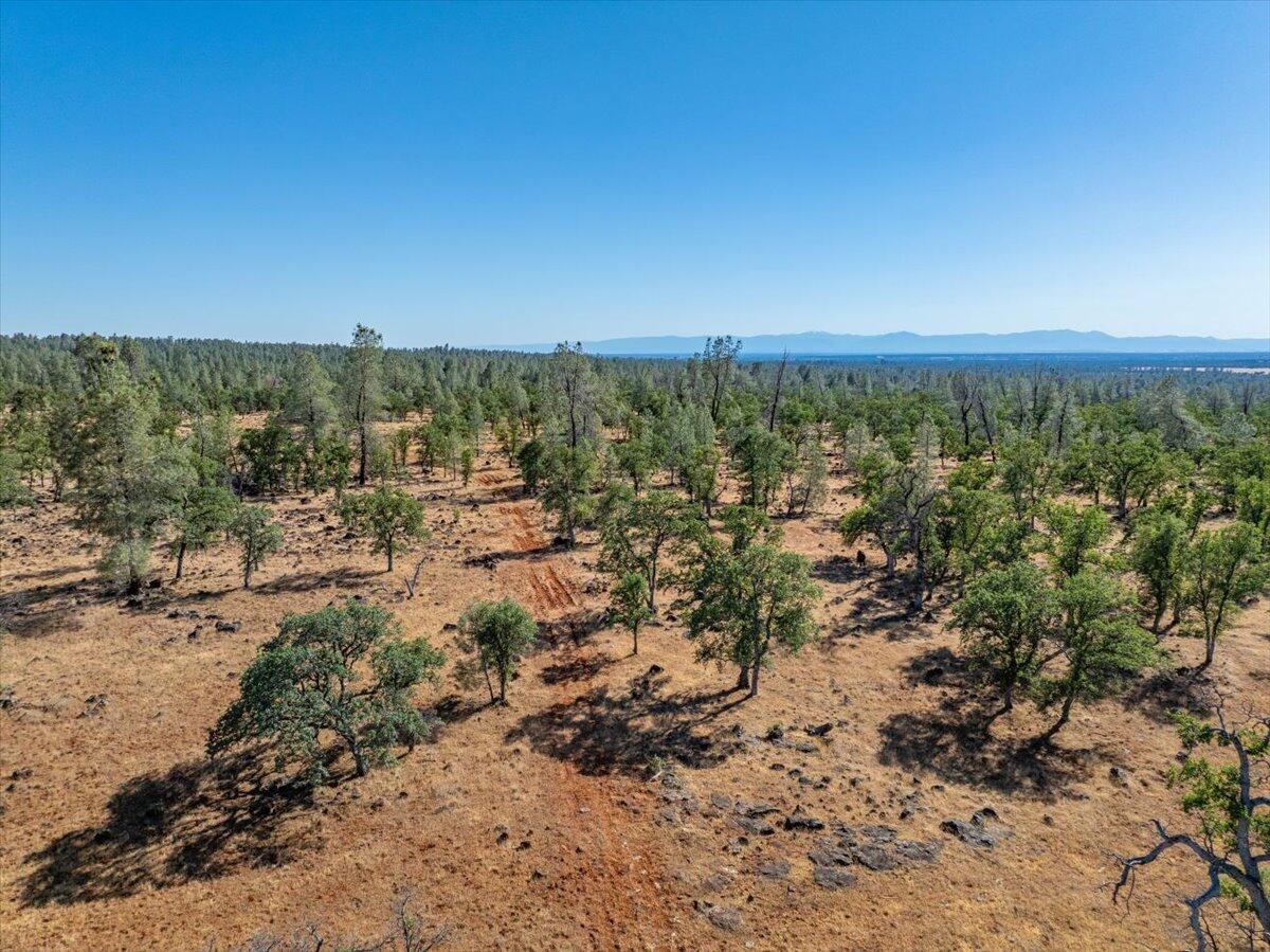 0 Dersch Road Anderson, CA 96007 - Photo 10 of 14 88-25150 Dersch Rd - E-56