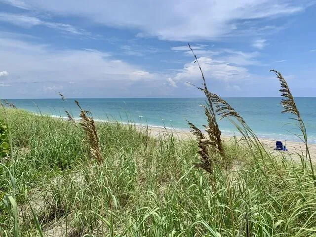a view of a lake with an ocean beach