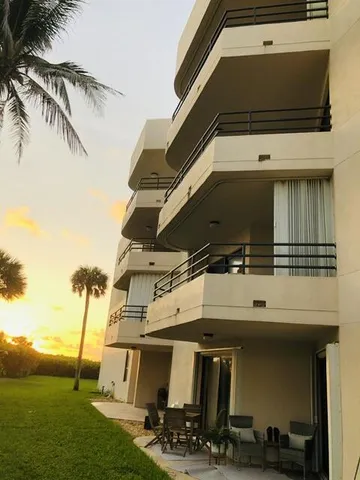a potted plants sitting in middle of a building