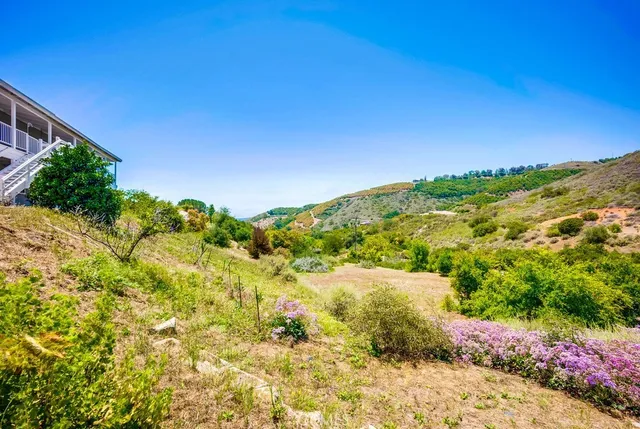 a view of a yard with a tree