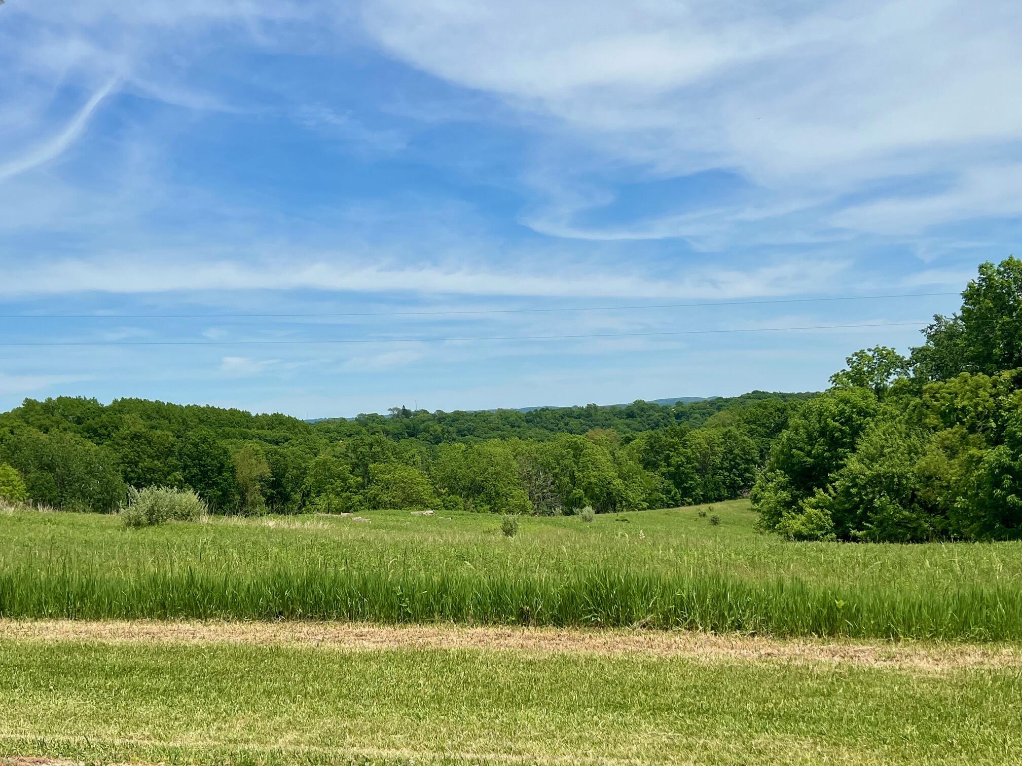 14026 Eagle Ridge Road Ferryville, WI 54628 - Photo 6 of 11 Eagle Ridge 4