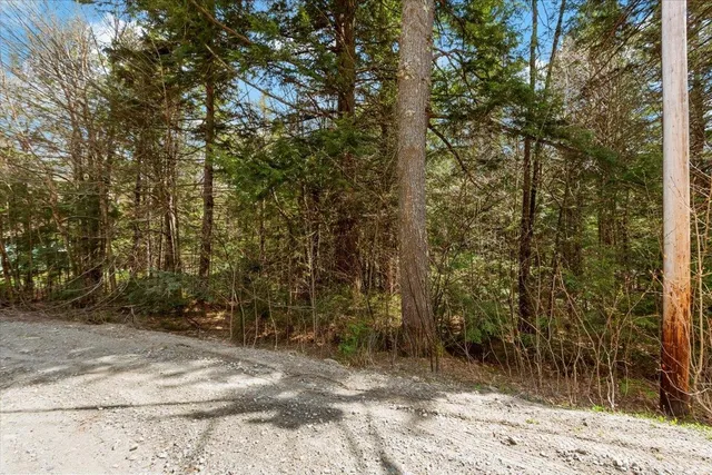 $75,000 | L40 Boardman Loop, West Wardsboro, VT 05360