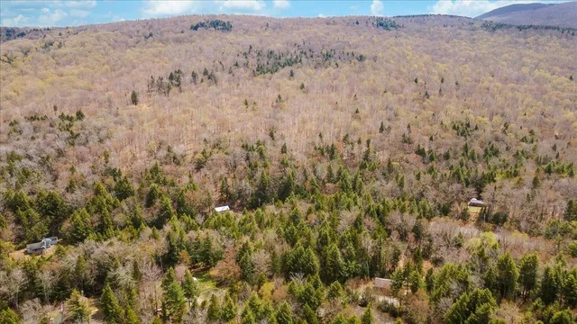 $75,000 | L40 Boardman Loop, West Wardsboro, VT 05360