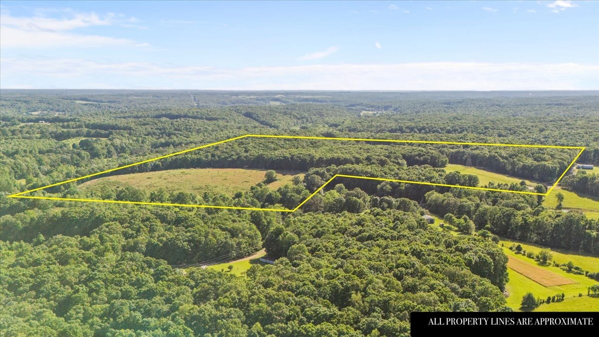 0 Deep Cut Road Erin, TN 37061 - Photo 3 of 16 Gallery Image 3