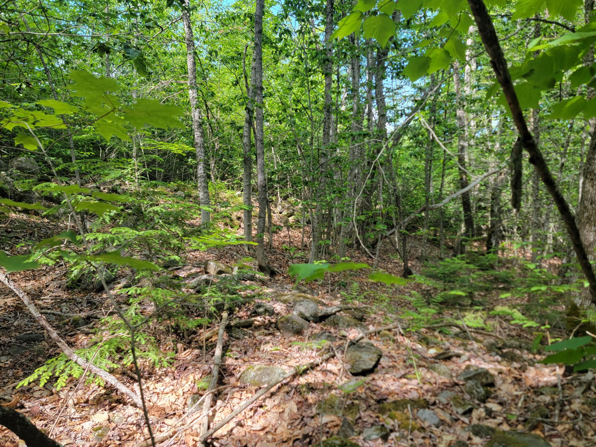 477 Hadley Mill Road Jackson, ME 04921 - Photo 17 of 32