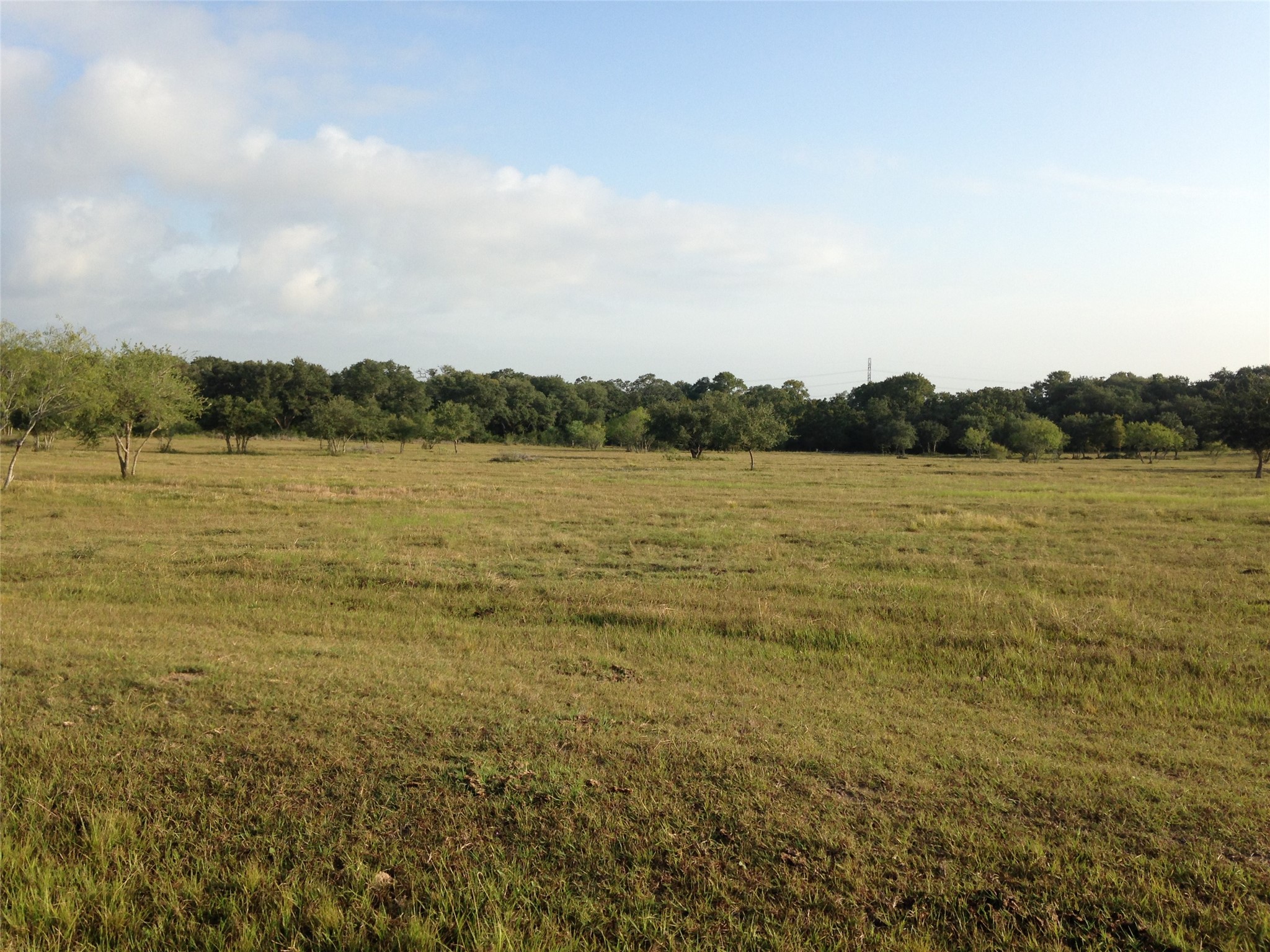 Parcel A Garrett Road Yoakum, TX 77995 - Photo 3 of 6 Texas Farm Ranch Land