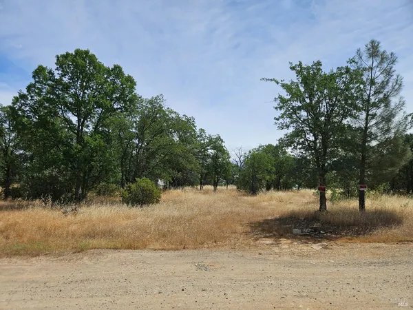 a view of a yard with a tree