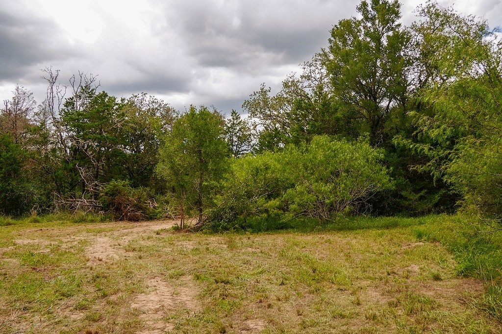 550 North Raymond Road La Grange, TX 78945 - Photo 22 of 28 a view of outdoor space with a garden