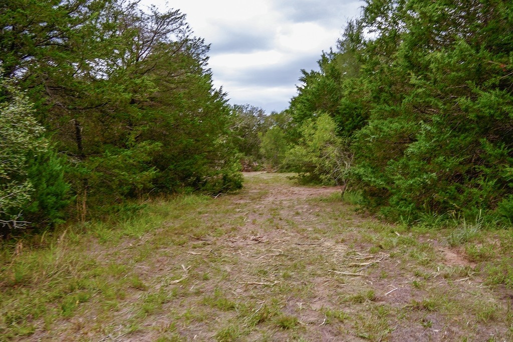550 North Raymond Road La Grange, TX 78945 - Photo 23 of 28 a view of a yard with plants and large trees