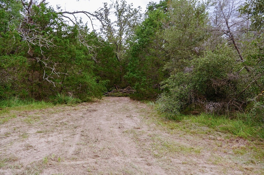 550 North Raymond Road La Grange, TX 78945 - Photo 27 of 28 a view of a yard with a tree