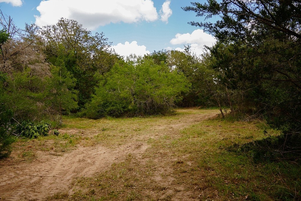 550 North Raymond Road La Grange, TX 78945 - Photo 28 of 28 a view of outdoor space and yard