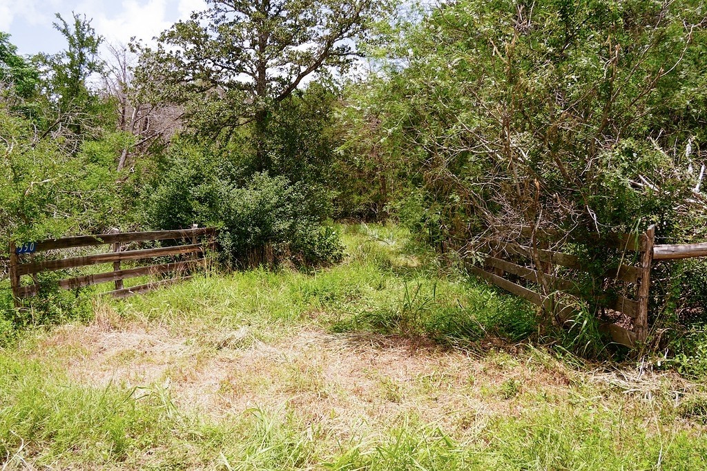 550 North Raymond Road La Grange, TX 78945 - Photo 3 of 28 a backyard of a house with lots of green space and plants