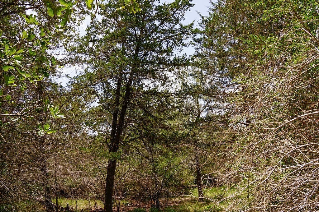 550 North Raymond Road La Grange, TX 78945 - Photo 5 of 28