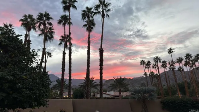 a view of a city with palm trees