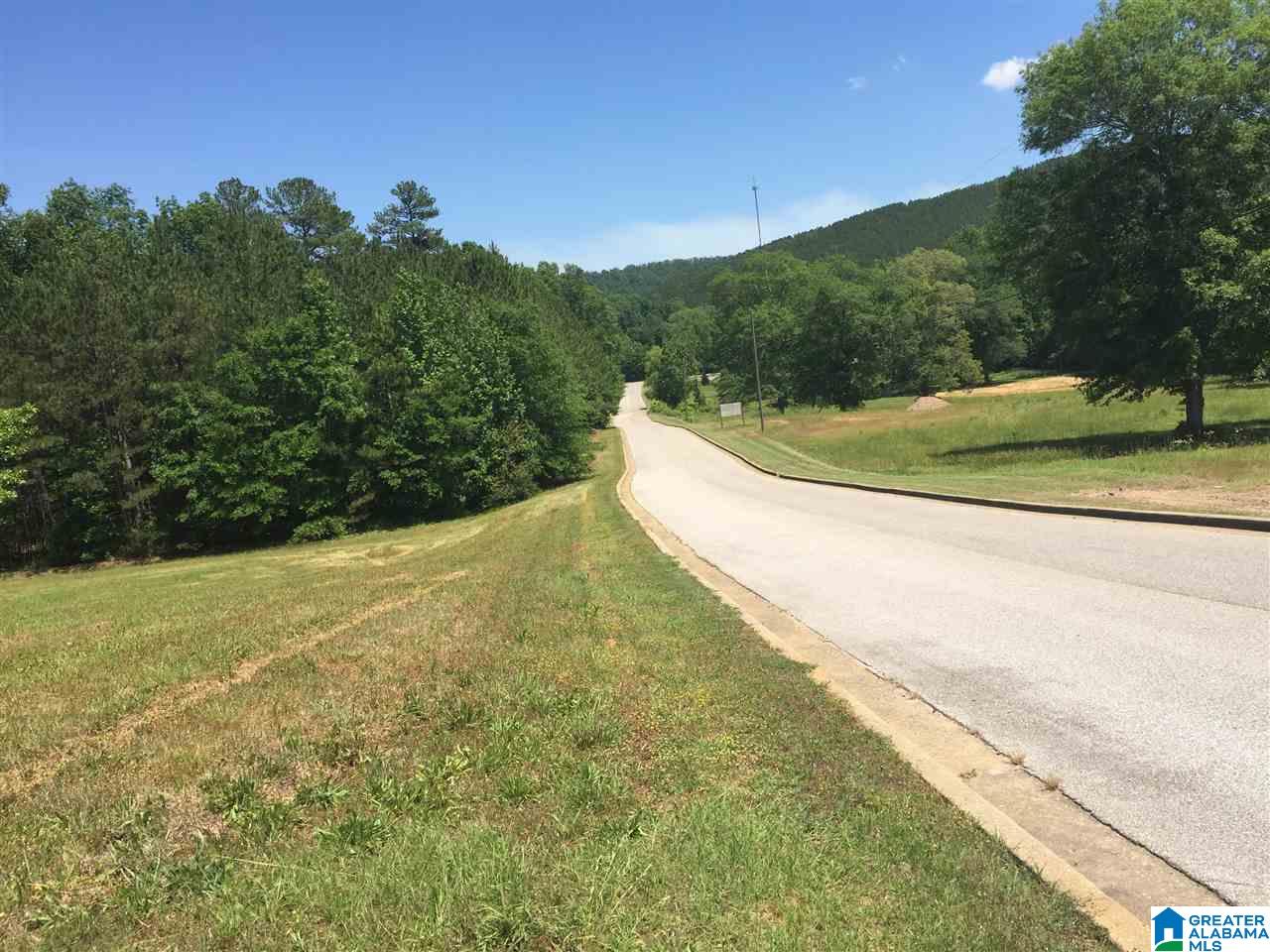 0 Mount Eagle Lane, Unit 1 Anniston, AL 36207 - Photo 10 of 19