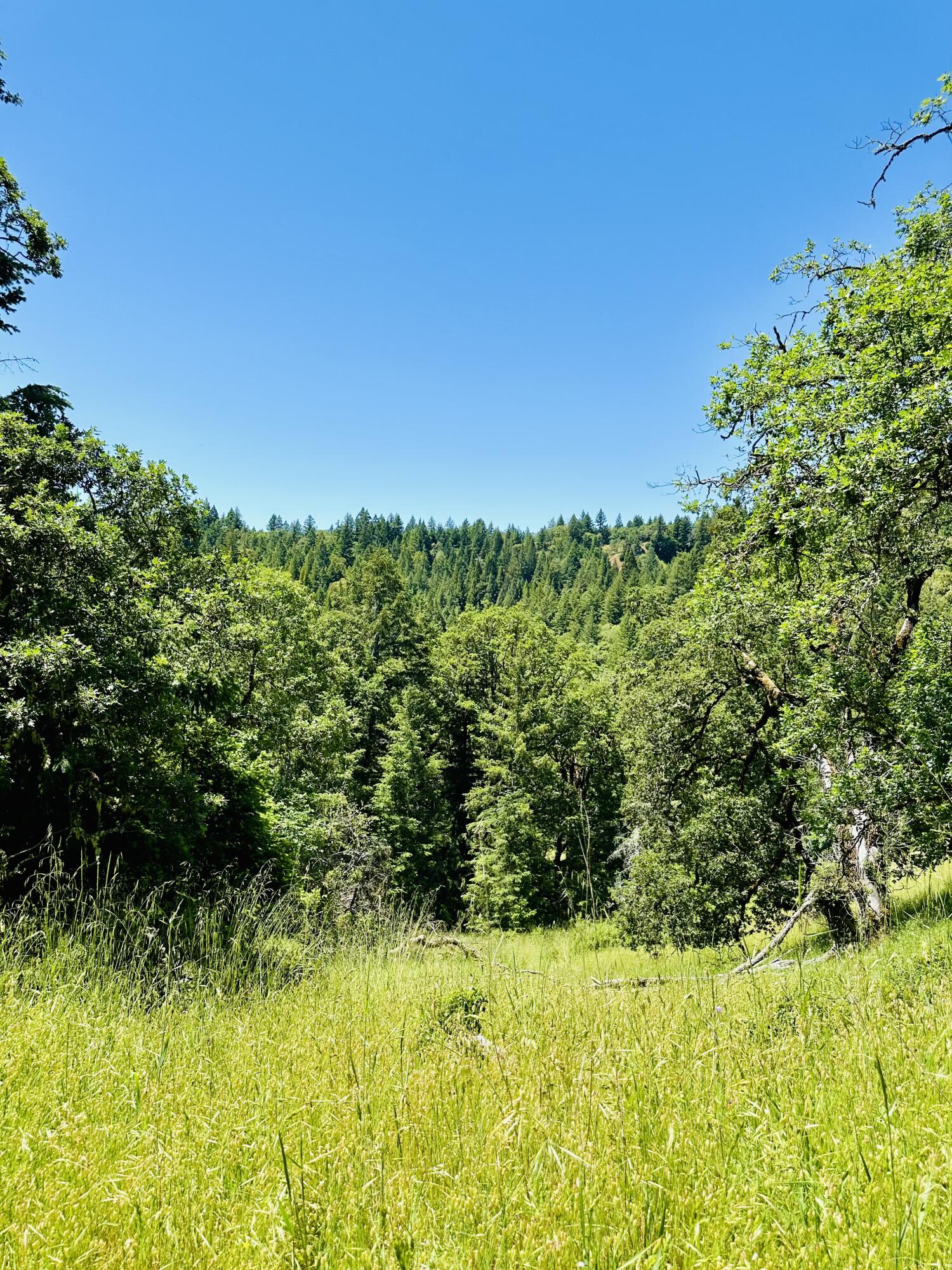400 Seely Creek Road Redway, CA 95560 - Photo 71 of 73