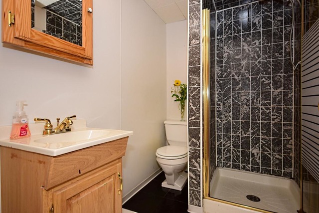 219 Hatlen Avenue Mount Prospect, IL 60056 - Photo 19 of 25