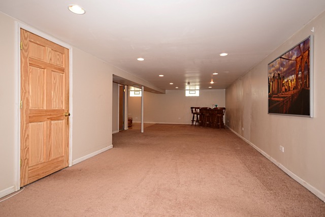 219 Hatlen Avenue Mount Prospect, IL 60056 - Photo 23 of 25