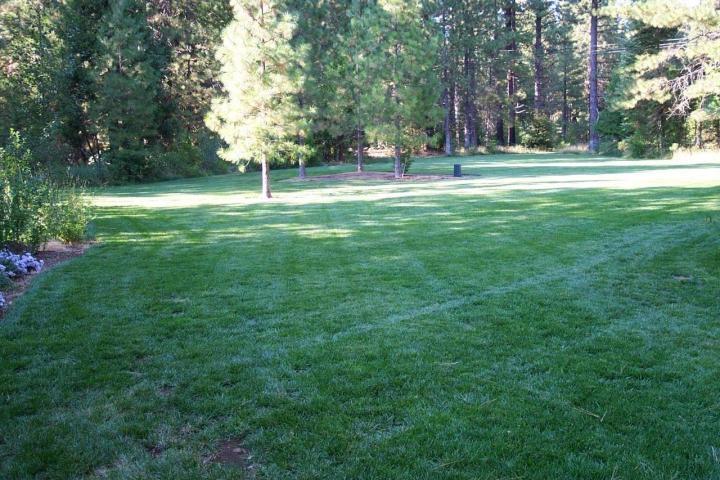 7637 Pegnan Road Shingletown, CA 96088 - Photo 14 of 22 Parklike Resort Setting