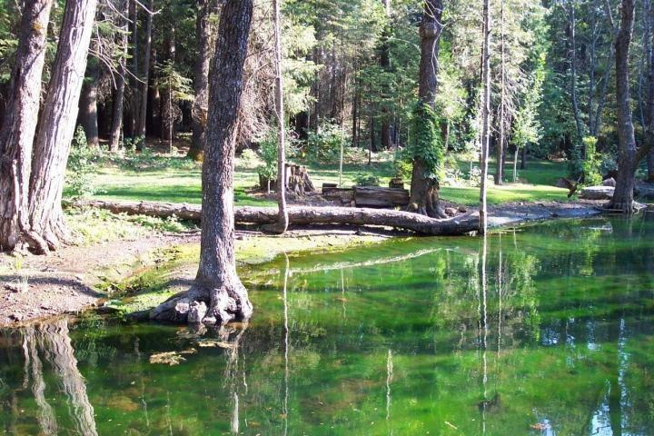 7637 Pegnan Road Shingletown, CA 96088 - Photo 17 of 22 Spring Fed Pond 2
