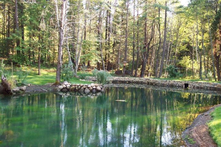 7637 Pegnan Road Shingletown, CA 96088 - Photo 3 of 22 SPRING FED TROUT FILLED Pond