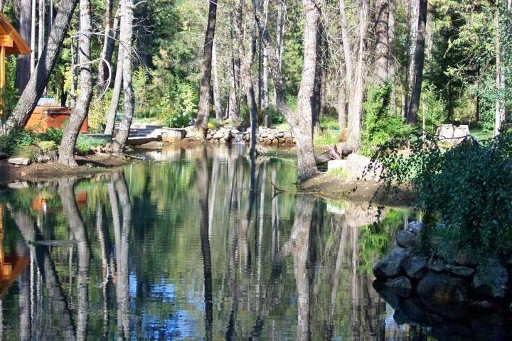7637 Pegnan Road Shingletown, CA 96088 - Photo 6 of 22 Waterfront Spa