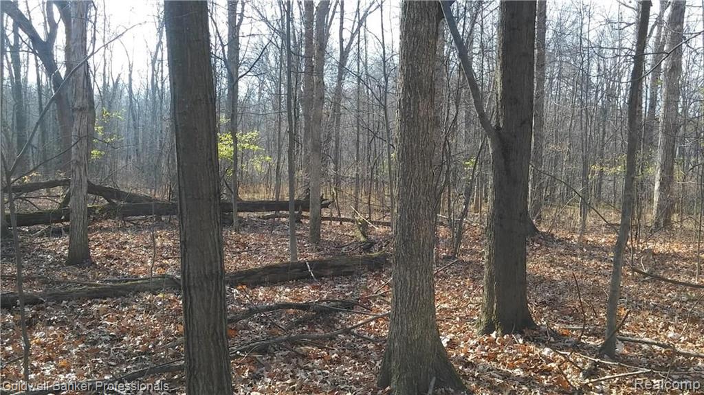 Eight West Eight Mile Road South Lyon, MI 48178 - Photo 12 of 58