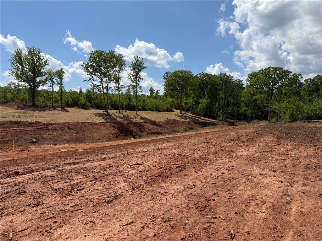 Lot 11 Pickens Drive Pendleton, SC 29670 - Photo 9 of 9 A spacious, buildable lot awaits your vision, bordered by a natural tree line and blue skies.