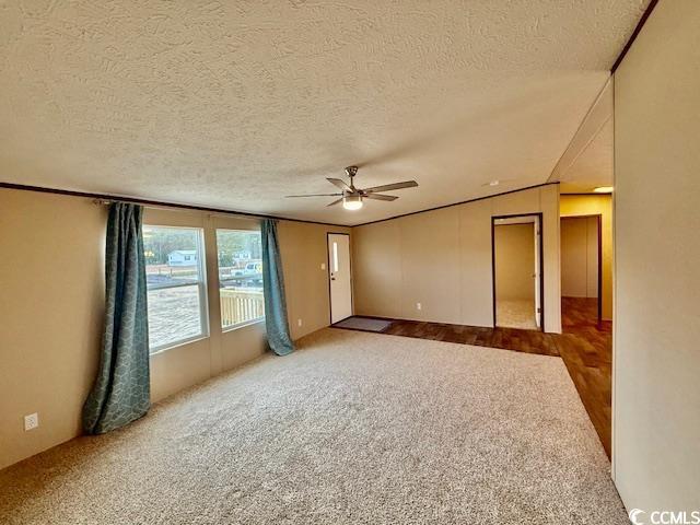 3437 Joyner Swamp Road Galivants Ferry, SC 29544 - Photo 10 of 24 Gallery Image 10