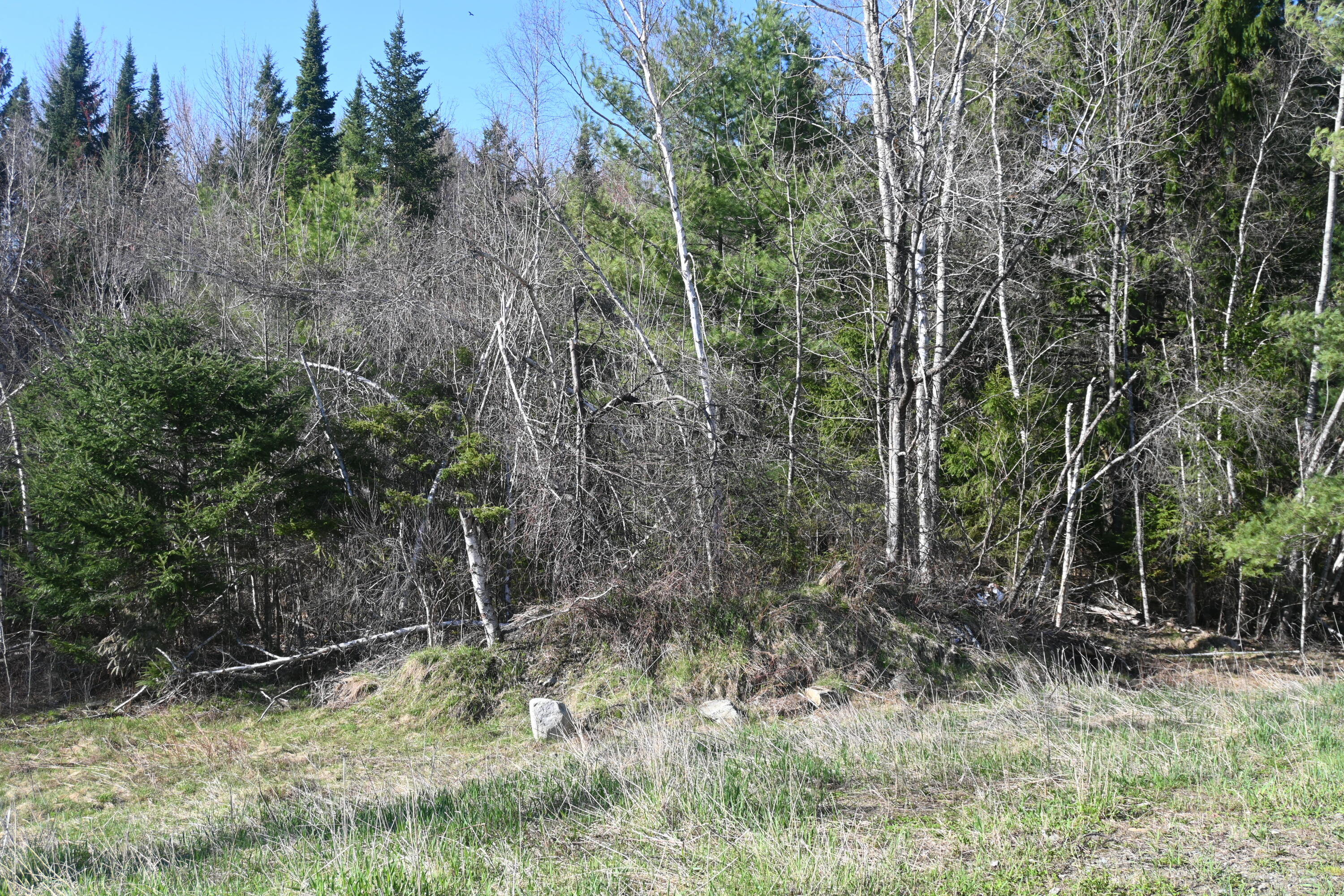 18 Castle Road Harmony, ME 04942 - Photo 54 of 74 DSC_0615