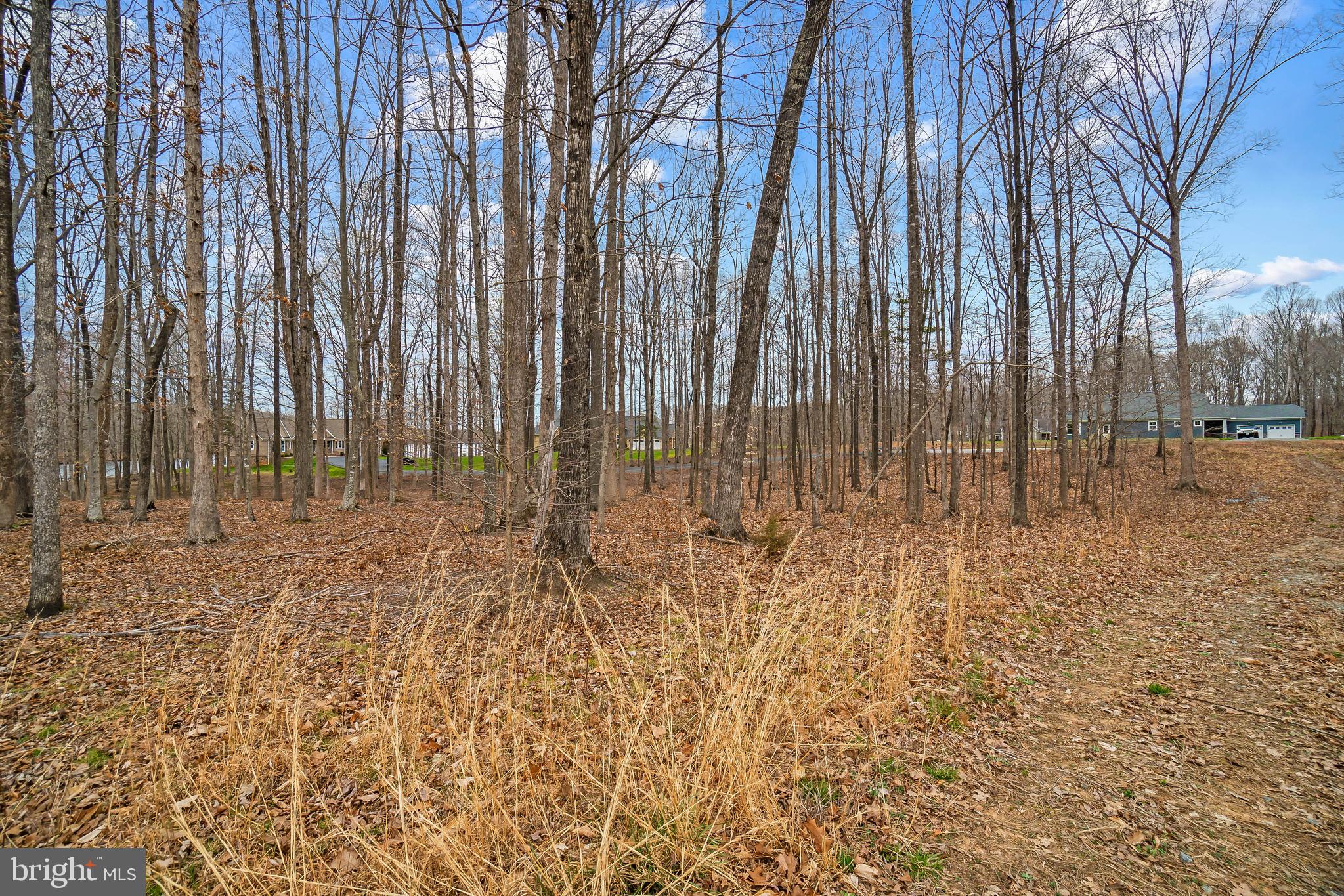 Raven Road Bumpass, VA 23024 - Photo 20 of 35