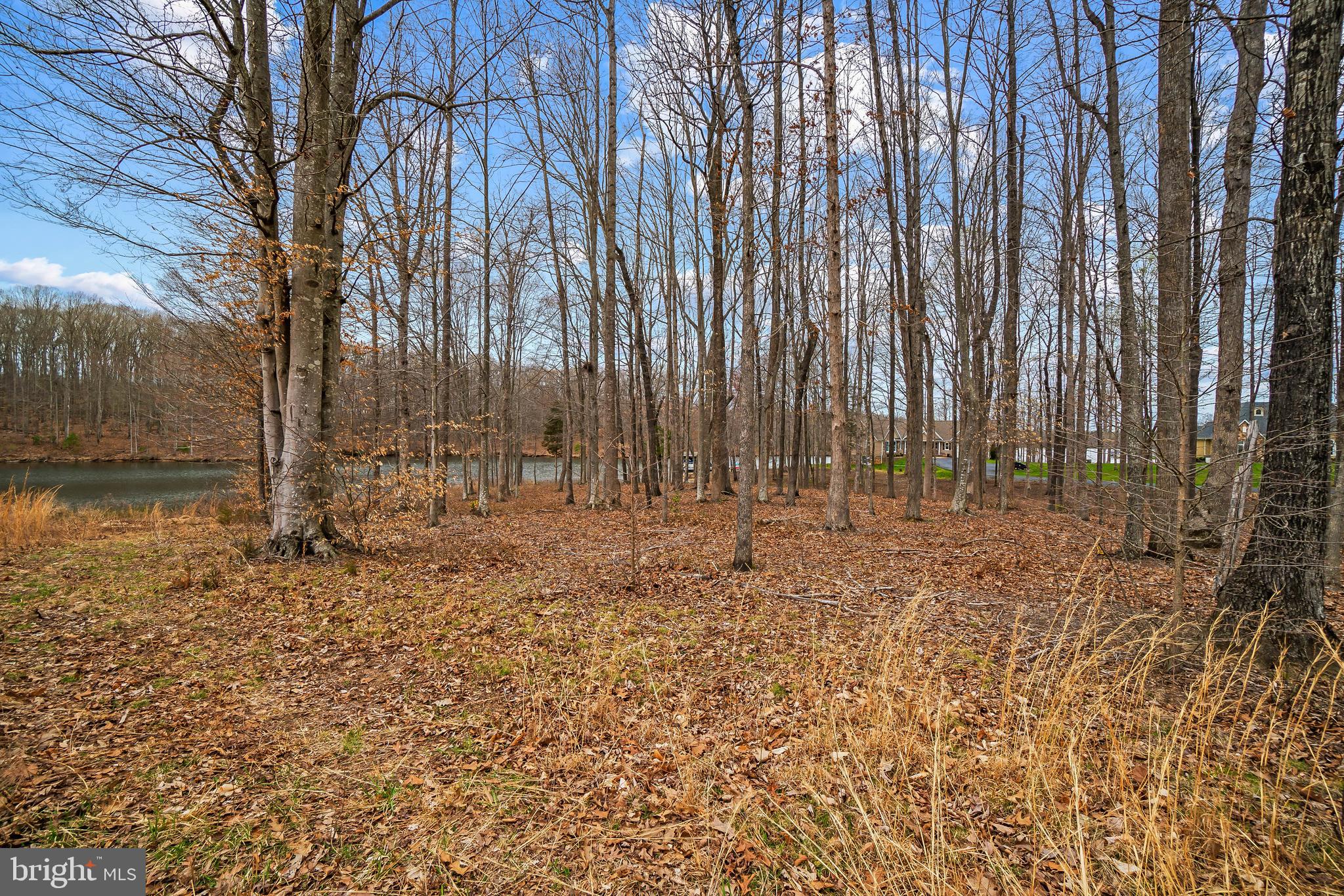 Raven Road Bumpass, VA 23024 - Photo 21 of 35