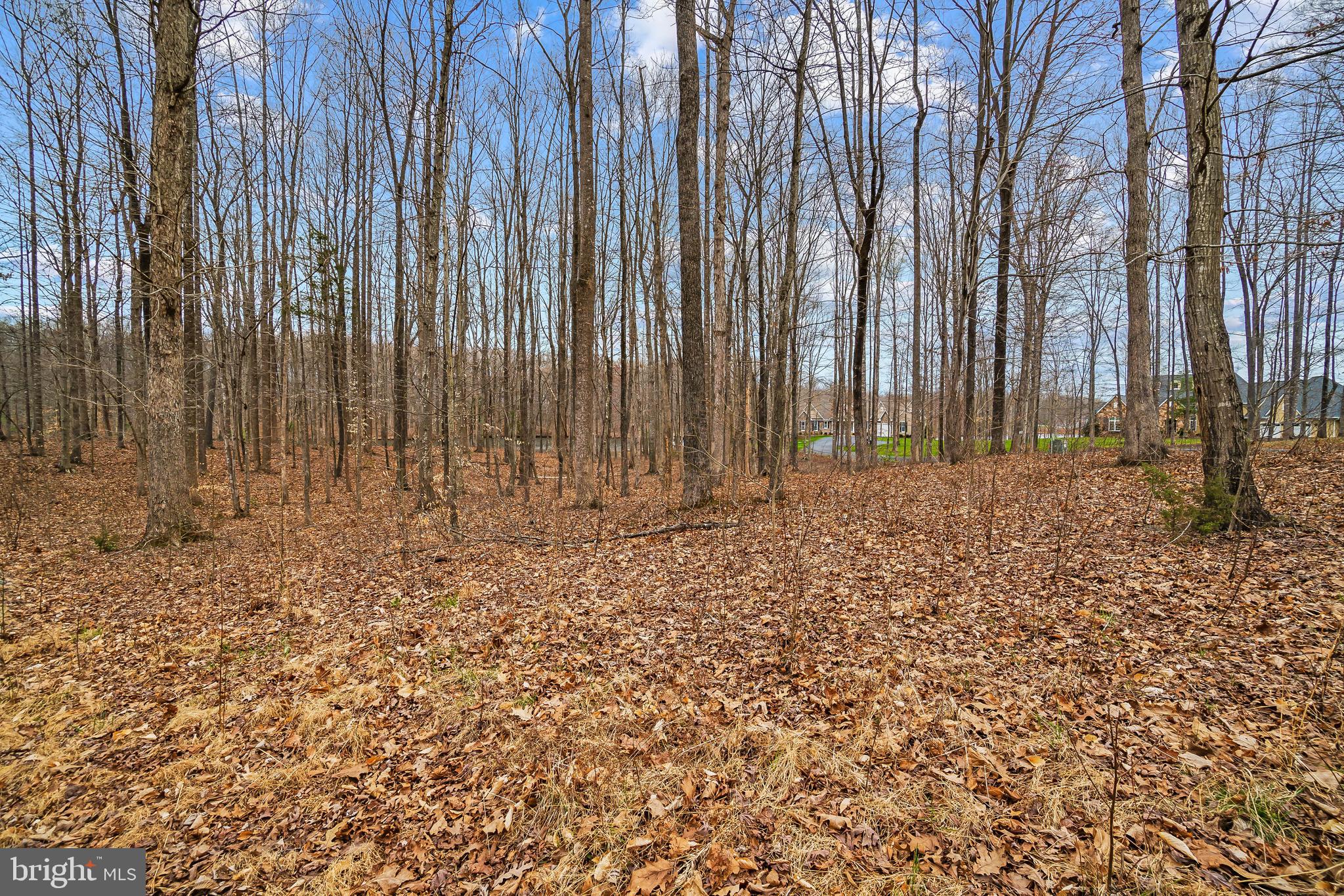 Raven Road Bumpass, VA 23024 - Photo 24 of 35