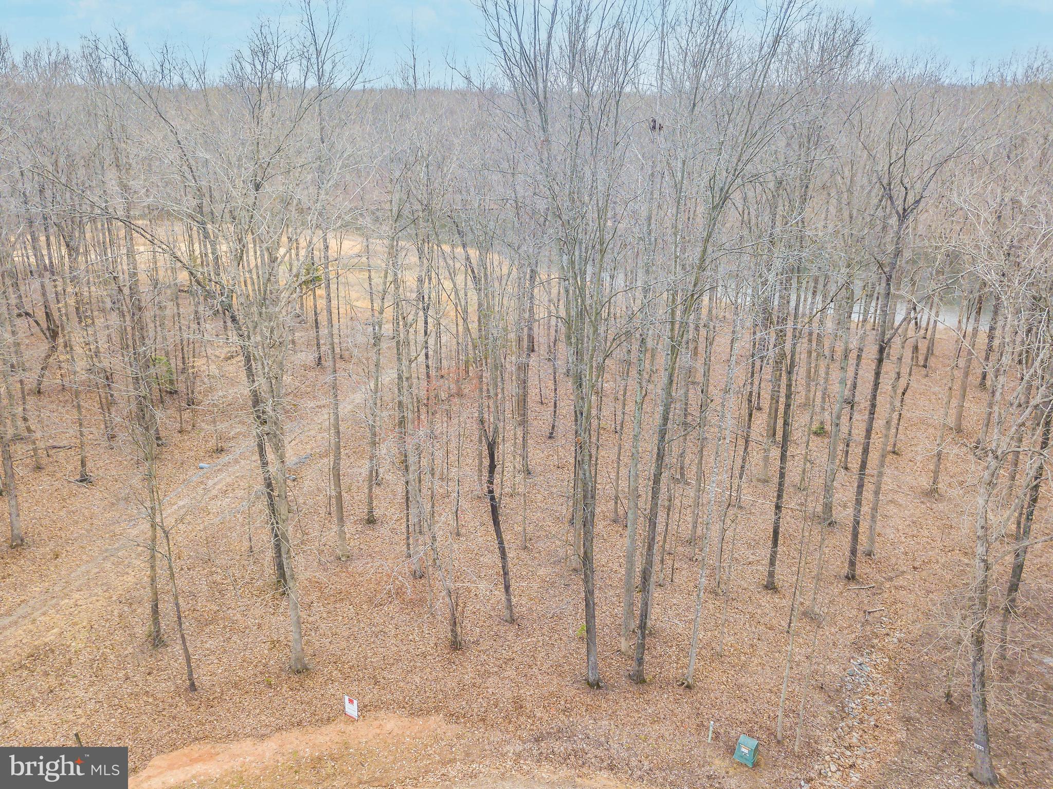 Raven Road Bumpass, VA 23024 - Photo 29 of 35