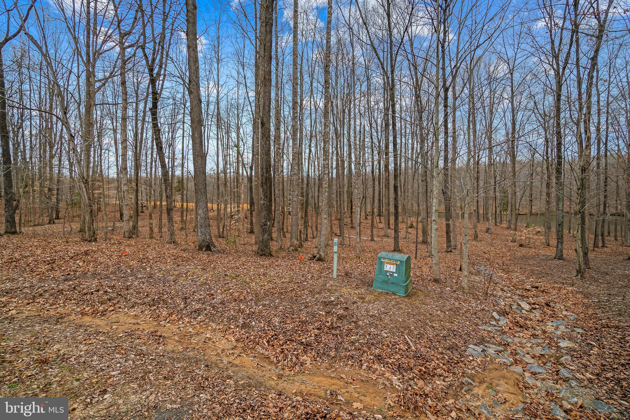 Raven Road Bumpass, VA 23024 - Photo 8 of 35