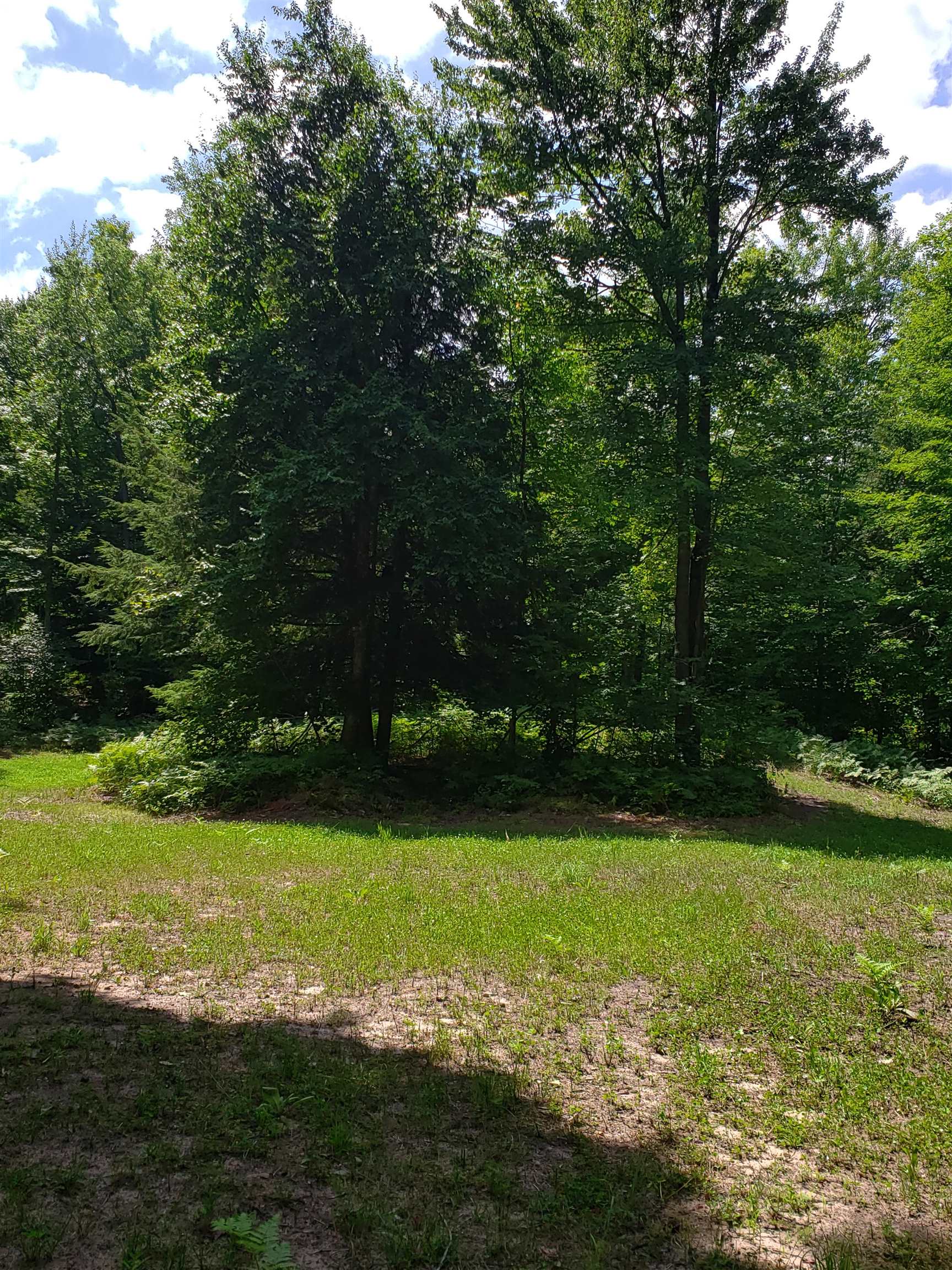 10389 West Four Road Mesick, MI 49668 - Photo 14 of 24 Gallery Image 14