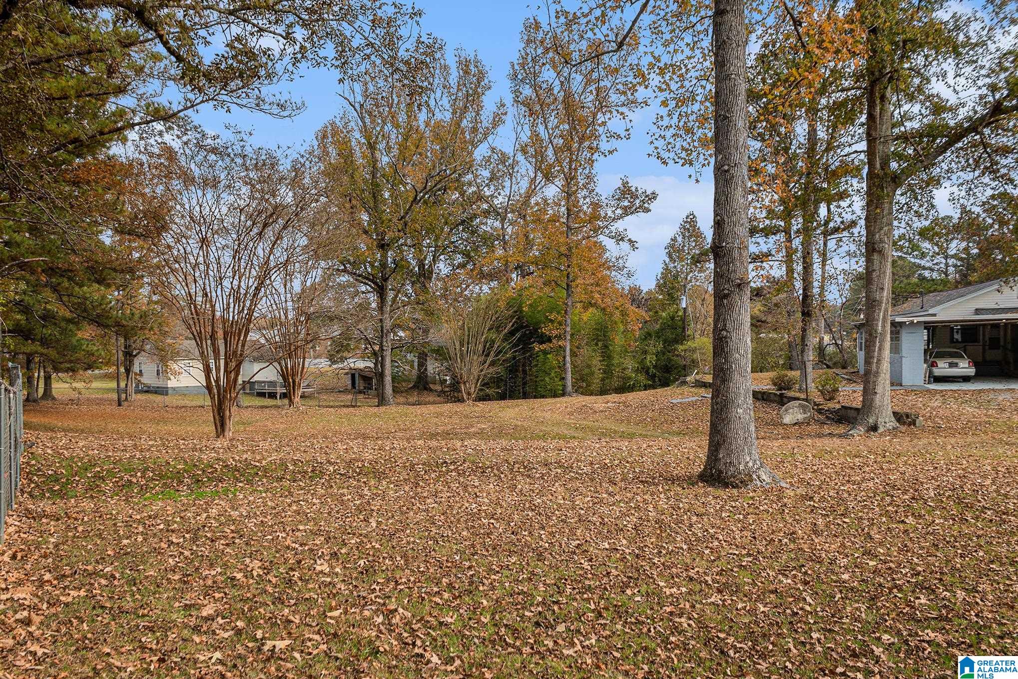 3211 Hillabee Road Alexander City, AL 35010 - Photo 27 of 35