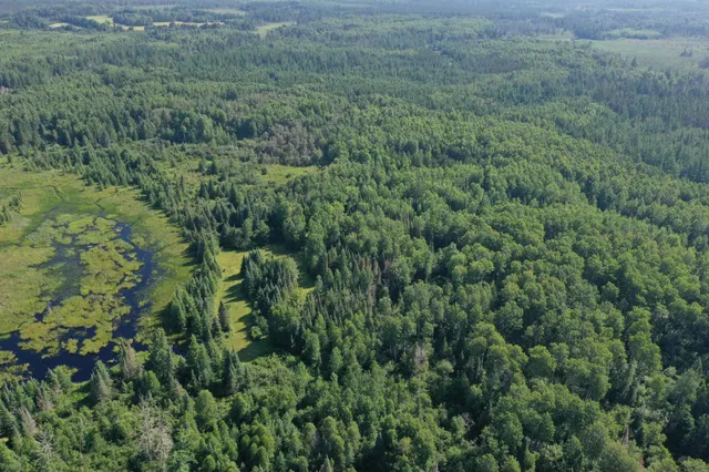 $750,000 | 8124 Virginia Ely Road, Babbitt, MN 55706